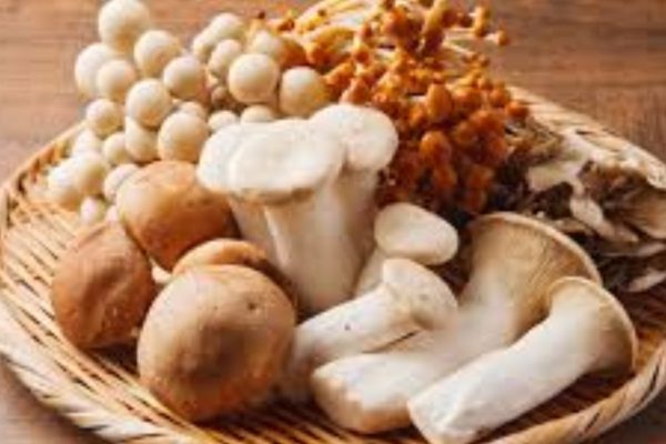मशरूम खाण्याचे आरोग्यदायी फायदे