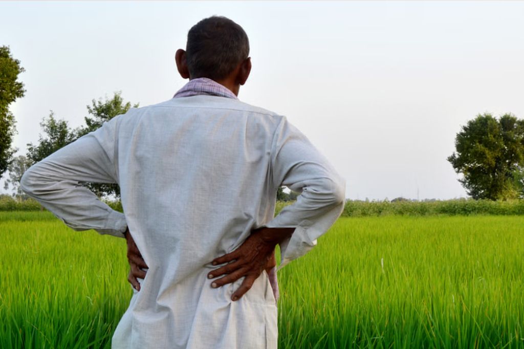 शेतकऱ्यांना खुशखबर ! थकबाकीमुळे जप्त झालेल्या जमिनी शेतकऱ्यांना परत मिळणार