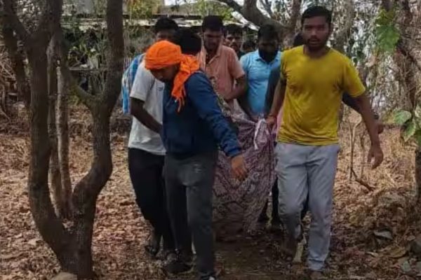 पांडवगडावर इंदापूरमधील गिर्यारोहकांवर मधमाशांचा हल्ला; सहा जखमी, दोन बेशुद्ध