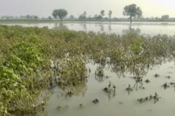 नैसर्गिक आपत्तीमुळे बाधित शेतकऱ्यांना 31 मार्चपर्यंत नुकसान भरपाई मिळणार