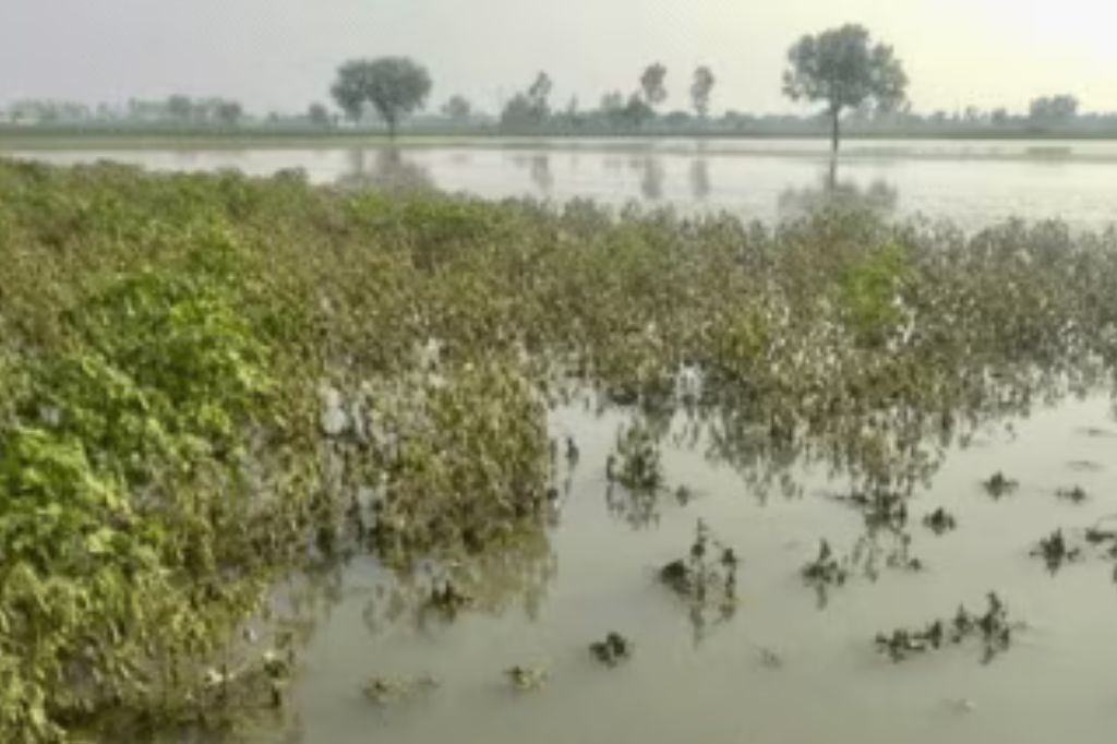 नैसर्गिक आपत्तीमुळे बाधित शेतकऱ्यांना 31 मार्चपर्यंत नुकसान भरपाई मिळणार