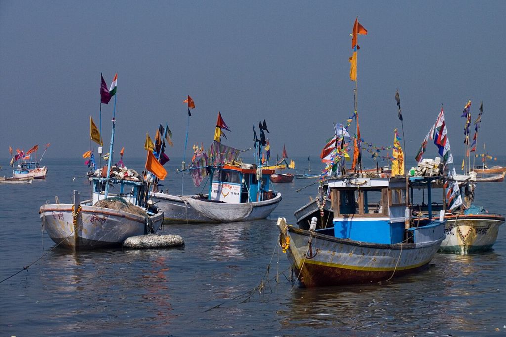 मत्स्यव्यवसायाला कृषी समकक्ष दर्जा; मच्छिमार, मत्स्यसंवर्धकांना पाणी, वीज सारख्या सुविधा, विविध सवलतींचा लाभ होणार