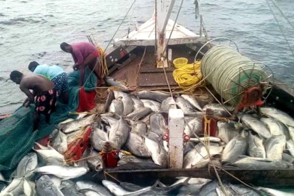 मासेमारीवरील बंदी उठणार 1 ऑगस्टपासून खोल समुद्रात जाण्याची परवानगी