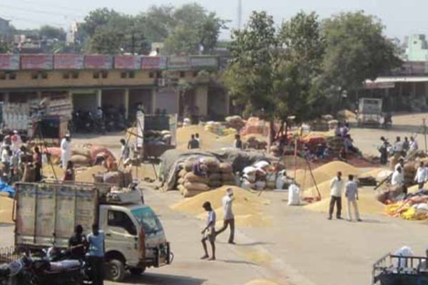 अमरावती कृषी उत्पन्न बाजार समितीतील अनियमितता प्रकरणी उच्च न्यायालयाच्या आदेशानंतर कार्यवाही