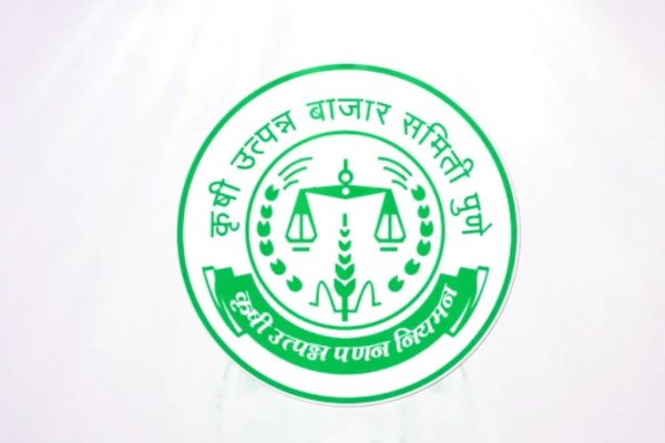 प्रकाश जगताप, रोहिदास उंद्रे, राजाराम कांचन आणि रामकृष्ण सातव सभापतिपदाच्या शर्यतीत; पुणे कृषी उत्पन्न बाजार समिती निवडणूक