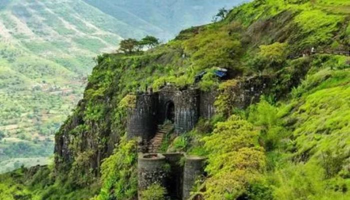 Pune news : सिंहगड किल्ल्यावर फिरायला गेलेले पाच मुलं बेपत्ता, पुण्यात पुन्हा खळबळ