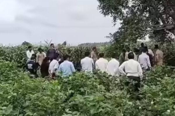 जळगाव हादरलं ! शेतातील विद्युतीकृत कुंपणाने घेतला ५ जणांचा बळी, कुटुंबावर दुखाचा डोंगर