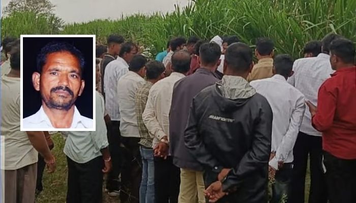 पुण्यात खळबळ..! ऊसाच्या शेतात आढळला शेतकऱ्याचा मृतदेह, शिरूर पोलिसांकडून तपास सुरू