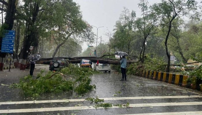 राज्यात मुसळधार पावसामुळे 12 जणांचा मृत्यू, मोठी पडझड; पूरग्रस्त गावांचे स्थलांतर