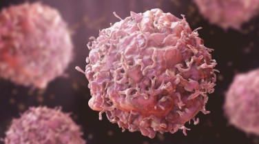 कॅन्सरच्या उपचारांबद्दल पसवली जातीये चुकीची माहिती; ‘या’ गोष्टींकडे द्या लक्ष, करू नका दुर्लक्ष…