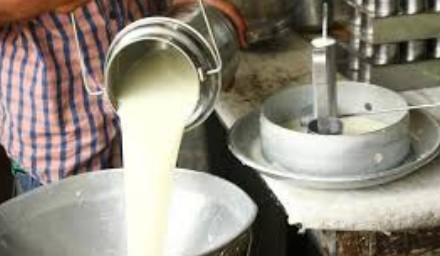 GST कपातीचा सर्वसामान्यांना होतोय फायदा; दुधापासून तूप, पनीरचे दर झाले कमी…