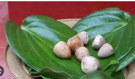 सुपारीची पानं असतात आरोग्यदायी; पोट निरोगी तर राहीलच वजनही होईल कमी