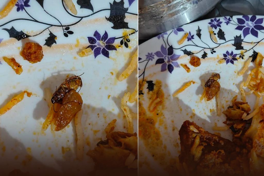 हैदराबादमधील अरेबियन मंडी रेस्टॉरंटमध्ये बिर्याणीत सापडले मृत झुरळ; व्हायरल व्हिडिओ पाहून नेटकऱ्यांनी व्यक्त केला संताप