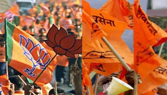 BJP Shiv Sena Clash : भाजप-शिवसेना शिंदे गटात फ्री-स्टाईल हाणामारी, महापालिका निवडणुकीआधीच पडली ठिणगी; नेमकं काय घडलं?