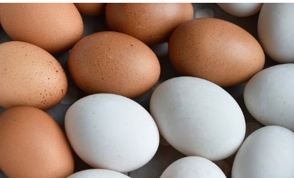 वजन कमी करायचंय? तर जाणून घ्या ऑमलेट की उकडलेले अंड कोणतं ठरेल फायद्याचे…