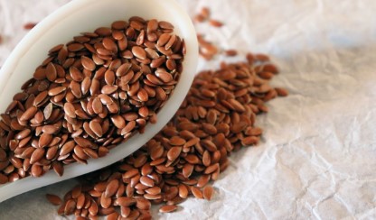 सूर्यफूल असो वा जवस ‘या’ बिया आरोग्यासाठी ठरतील फायद्याच्या; तुम्ही राहाल आजारापासून दूर…