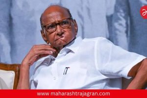सोलापूर राजकारणात भूकंप! शरद पवार गटाचे आमदार अभिजीत पाटील बंडाच्या तयारीत