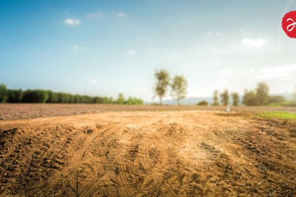 land survey : महाराष्ट्रात जमीन मोजणी आता अवघ्या ३० दिवसांत होणार