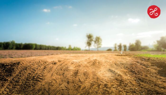 land survey : महाराष्ट्रात जमीन मोजणी आता अवघ्या ३० दिवसांत होणार