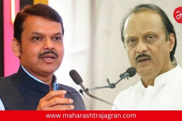 Local Body Election : निवडणुकीत भाजपला तुकडाही देणार नाही; अजित पवारांच्या आमदाराच्या वक्तव्याने महायुतीत खळबळ