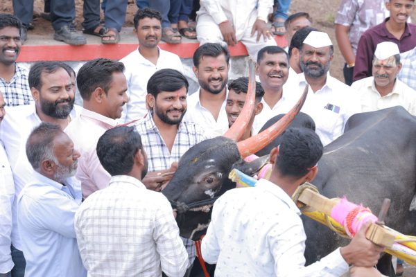 वेदश्री गणेश सुक्रेंचा गाडा घाटाचा राजा; करंदीकरांच्या बैलगाडा शर्यतीत पहिल्या दिवशी धावले 151 गाडे