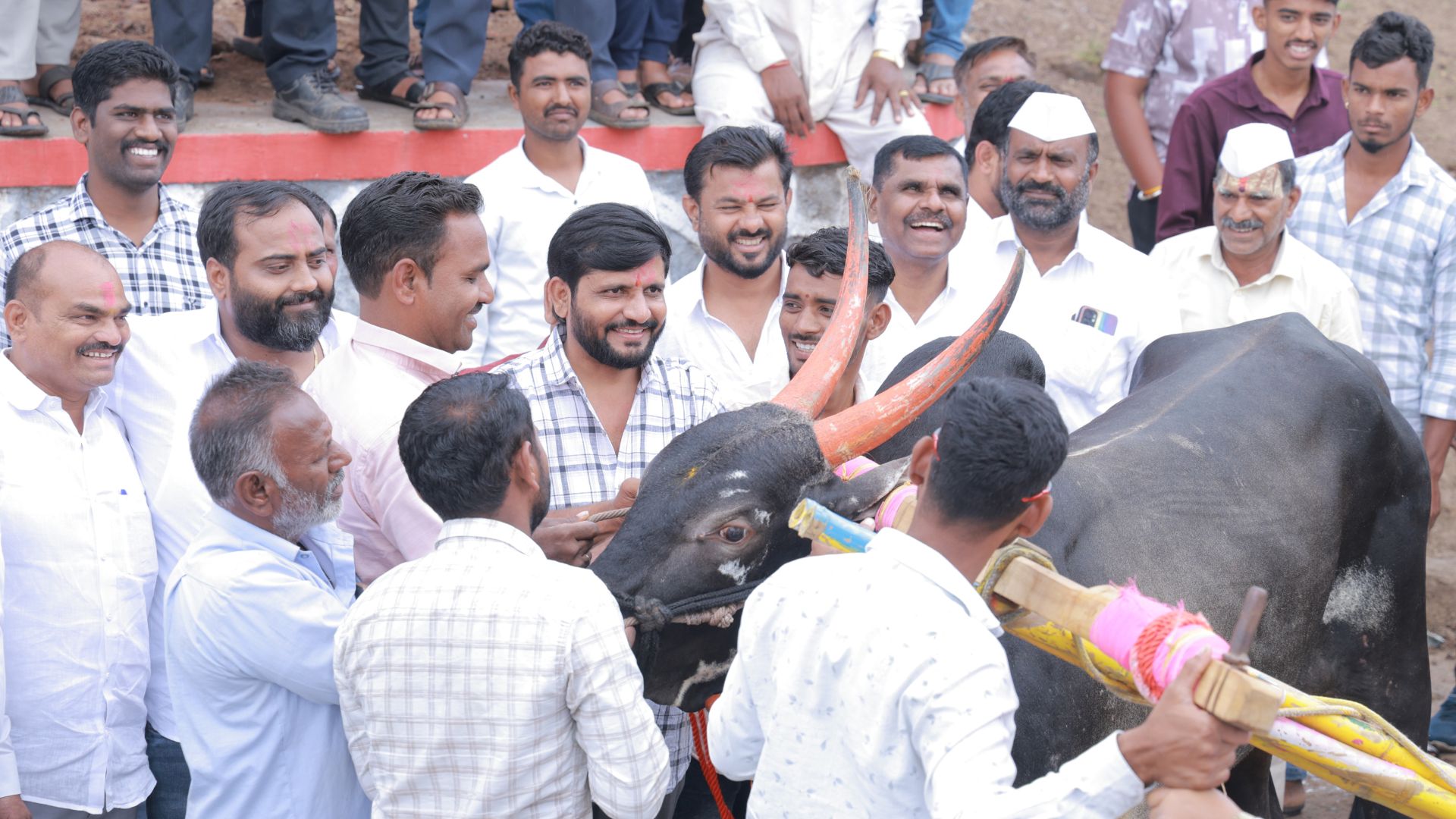 वेदश्री गणेश सुक्रेंचा गाडा घाटाचा राजा; करंदीकरांच्या बैलगाडा शर्यतीत पहिल्या दिवशी धावले 151 गाडे