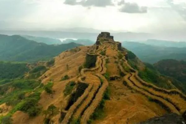 धक्कादायक! राजगड किल्ल्यावर डोक्यात दगड पडून महिला जखमी; माकडांचा प्रताप