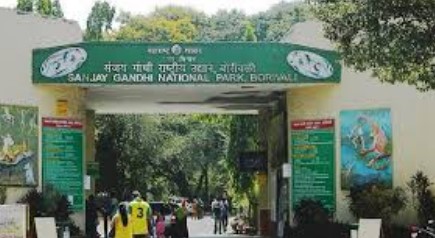 Job Alert ! मुंबईतील संजय गांधी राष्ट्रीय उद्यान येथे मिळू शकते नोकरी; ऑनलाईन करता येणार अर्ज…