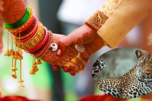 ऑफिसमध्येच प्रेम अन् नंतर लग्न; जगभरातील ‘इतक्या’ टक्के लोकांना कामाच्या ठिकाणी मिळतोय जोडीदार