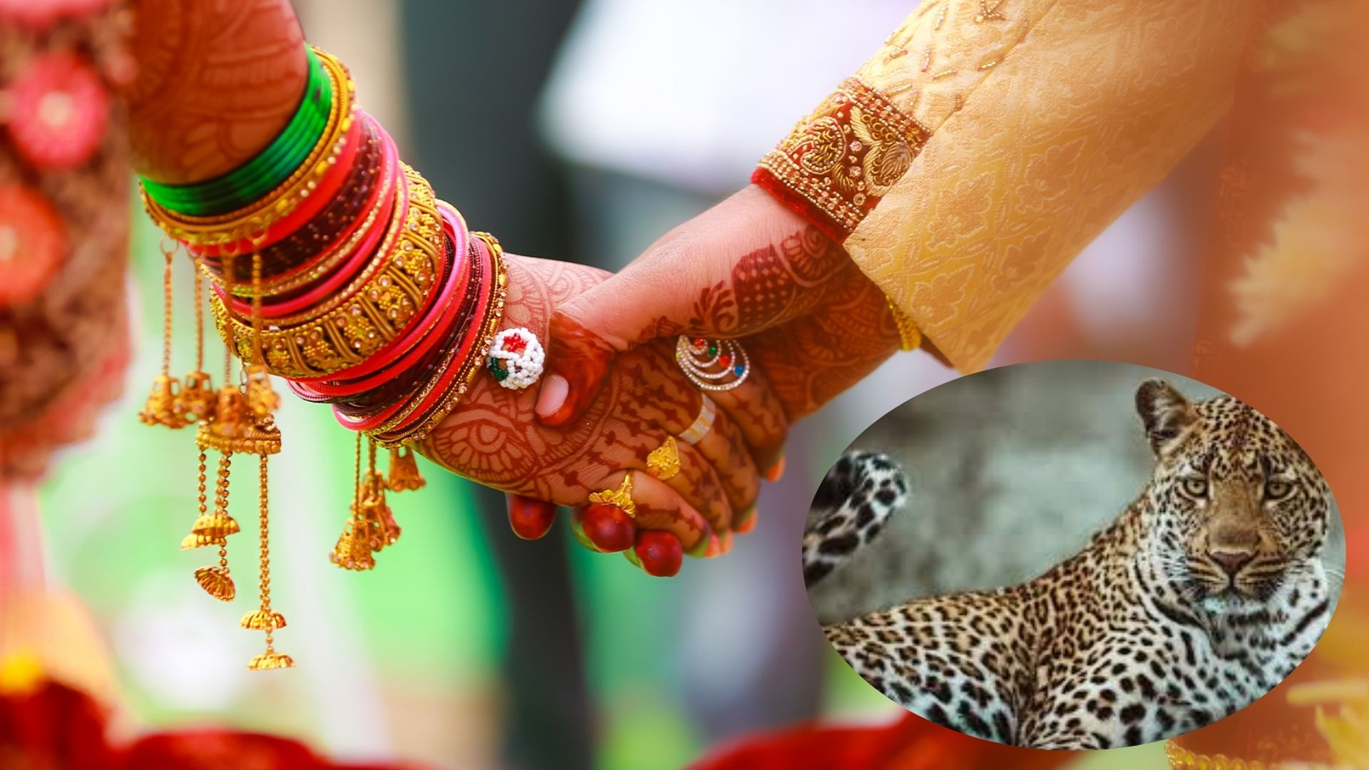 ऑफिसमध्येच प्रेम अन् नंतर लग्न; जगभरातील ‘इतक्या’ टक्के लोकांना कामाच्या ठिकाणी मिळतोय जोडीदार