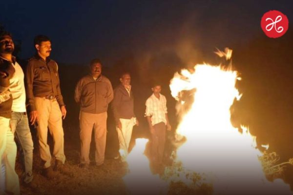 Dhule Crime: वन विभागाच्या जमिनीवर गांजाची लागवड; पोलिसांनी १.६ कोटी रुपयांच्या पिकाला लावली आग