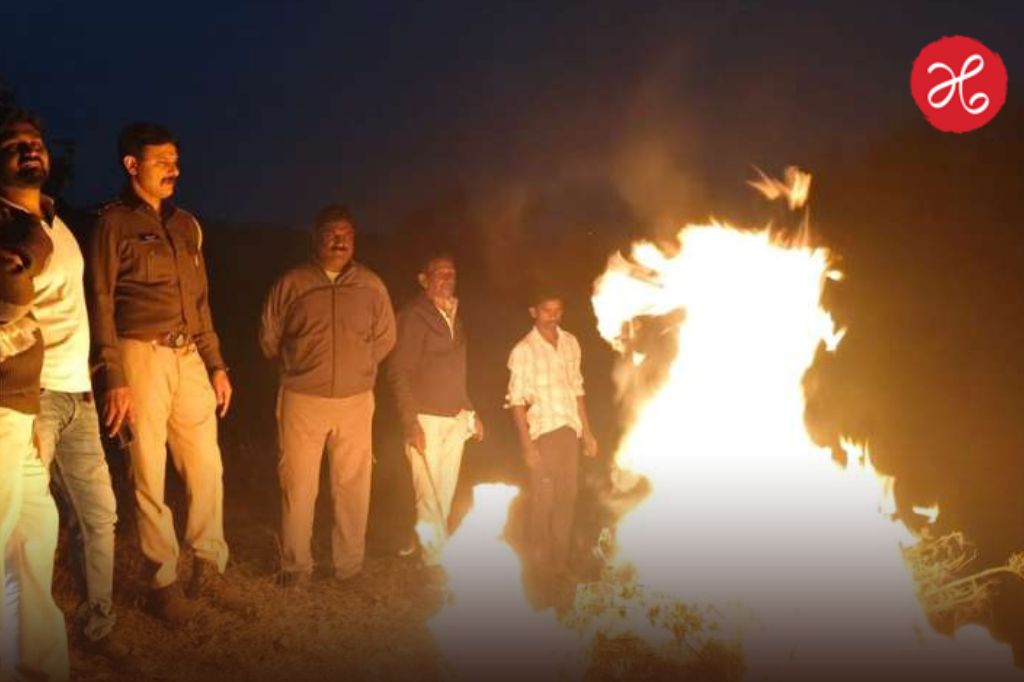 Dhule Crime: वन विभागाच्या जमिनीवर गांजाची लागवड; पोलिसांनी १.६ कोटी रुपयांच्या पिकाला लावली आग