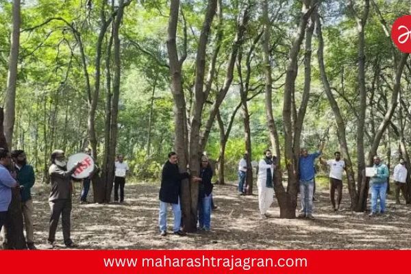 ‘आमच्या परवानगीशिवाय तपोवनातील झाडे तोडू नका’; मुंबई उच्च न्यायालयाचे राज्यसरकारला कडक आदेश