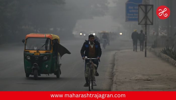 Maharashtra Weather : महाराष्ट्रात थंडीची लाट कायम; उत्तर महाराष्ट्र आणि विदर्भात गारठा तीव्र, पुणे-मुंबईत स्थिर हवामान