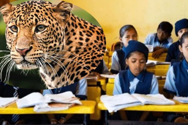 Pune School: बिबट्यामुळे पुण्यातील ‘या’ शाळांच्या वेळा बदलल्या; काय आहे कारण आणि नवीन वेळ?