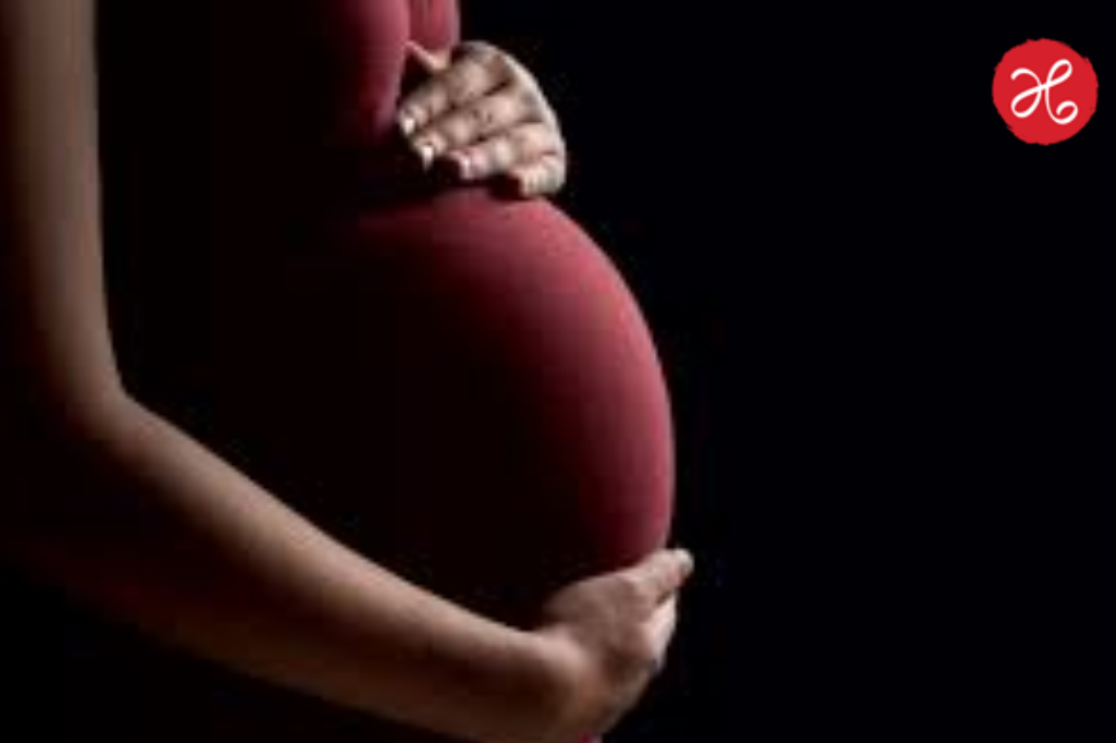 Gadchiroli: आईपणाचा संघर्ष संपला! प्रसूतीसाठी नऊ महिन्यांच्या गर्भवतीची जंगलातून वणवण; शेवटी माय-लेकराचा दुर्दैवी अंत