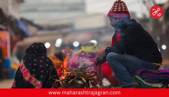 Weather Alert : महाराष्ट्रात थंडीचा जोर वाढला; थंड वाऱ्यांच्या लहरींमुळे हवामानात मोठा बदल