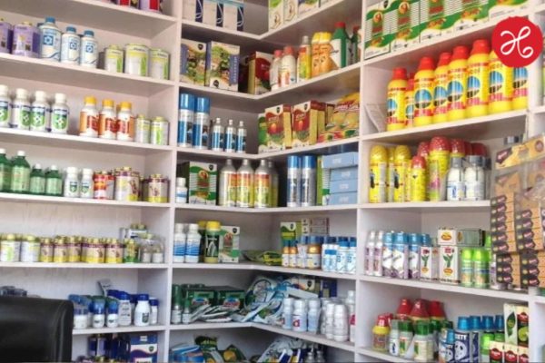 Pune News: पुणे जिल्ह्यात खत विक्रेत्यांवर मोठी कारवाई! 15 कृषी सेवा केंद्रांचे परवाने रद्द