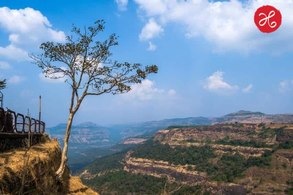 Pune Lonavala Accident Tragedy: लोणावळ्यात काळीज हेलावणारी घटना; व्हिडिओ कॉलवर मुलांना दरी दाखवताना तोल गेला अन्…