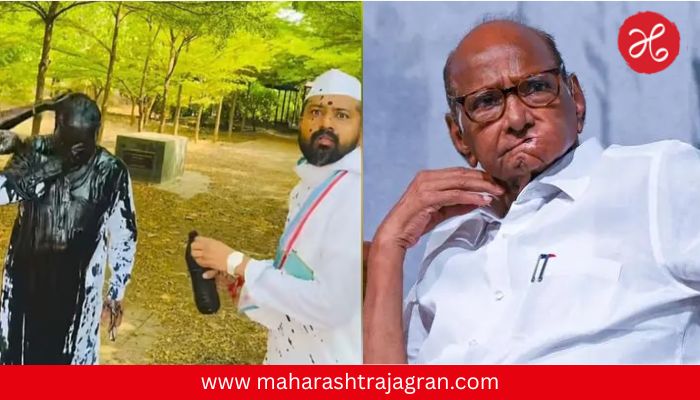 शाईफेक प्रकरणावर शरद पवार ॲक्शन मोडमध्ये; थेट पोलीस महासंचालकांना फोन, आज फडणवीसांसमोर मांडणार मुद्दा